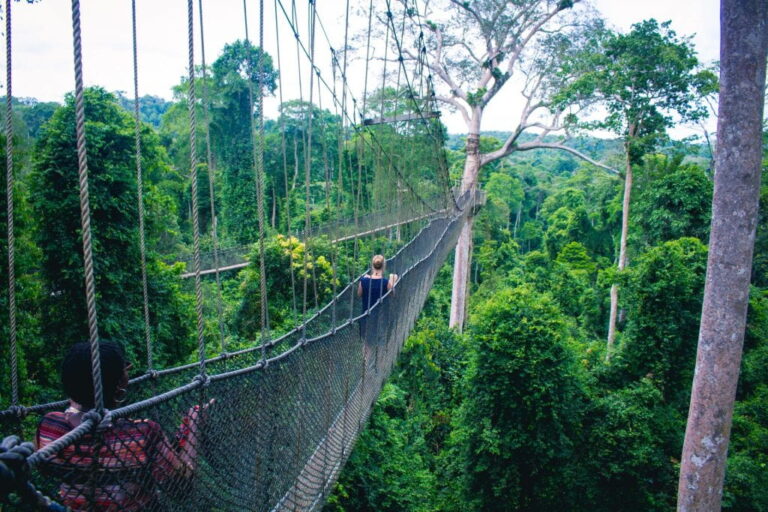 Kakum-Canopy-Cape-Coast-Ghana