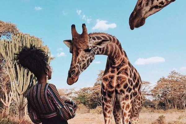 Nairobi Tour
